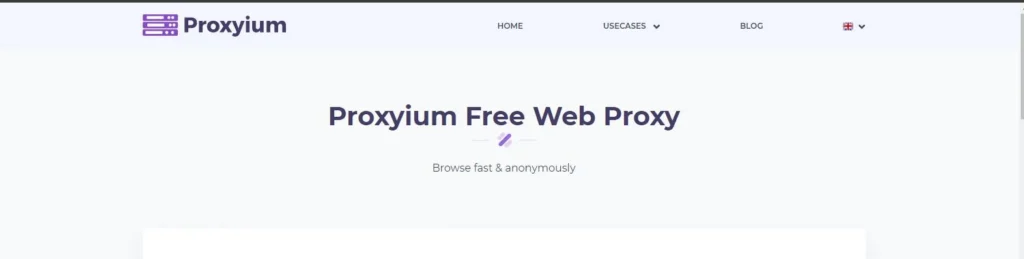 How to Use Proxiyum and A Comprehensive Guide?